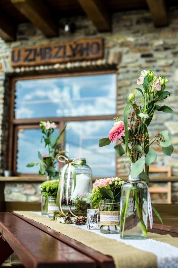 Chata U Zmrzlyho Vrchlabí Exterior foto